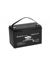 Гелевий акумулятор Haswing Gel 100Ah 12V