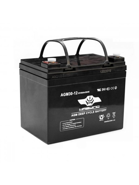 Аккумулятор Haswing AGM 30Ah 12V