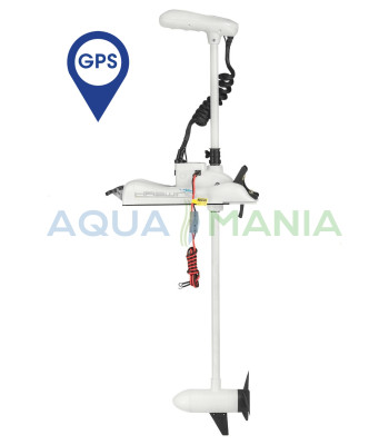 Човновий Електромотор GPS Haswing Cayman B 55 lbs (білий)