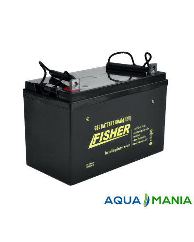 Лодочный Электромотор Fisher 26 + аккумулятор agm 80Ah