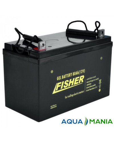 Лодочный Электромотор Fisher 55 + два аккумулятора гель 80Ah