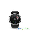 Навигатор на запястье Garmin fenix 5S - Silver with black band