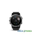 Навігатор на зап'ястя Garmin fenix 5S - Silver with black band