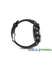 Навігатор на зап'ястя Garmin fenix 5S - Silver with black band